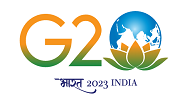 G20